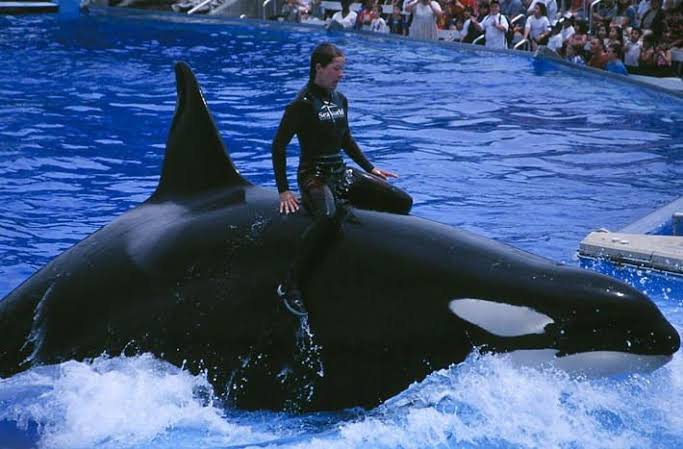 If you ever see a big whale move, grab some popcorn—because "I'm investing ground floor along the world's top VC funds"
"<a href="/entertheorigin/">Origin</a>"
And it's either going to be me on it with a wild ride and a financial long whip🐋🐳🐋🐳🐋➰🪢➰🪢🌊🌊🌊🌊