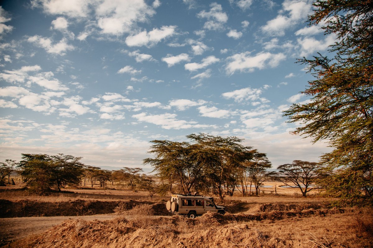 ExtendedTravels's tweet photo. Sarova Lion Hill Game Lodge 😍Nestled on "The Lion Hill," the Lodge offers a perfect blend of adventure, luxury, and relaxation.

For Easter bookings
Call | whatsapp
+254725356926
info@extendedtravels.co.ke

#Extendedtravels #flamingoes #lakenakurunationalpark #luxurytravel https://t.co/XBhf9lIIZU