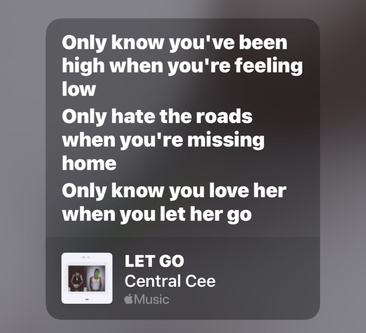 𝕻𝖔𝖑𝖔 ❤️‍🔥 tweet media