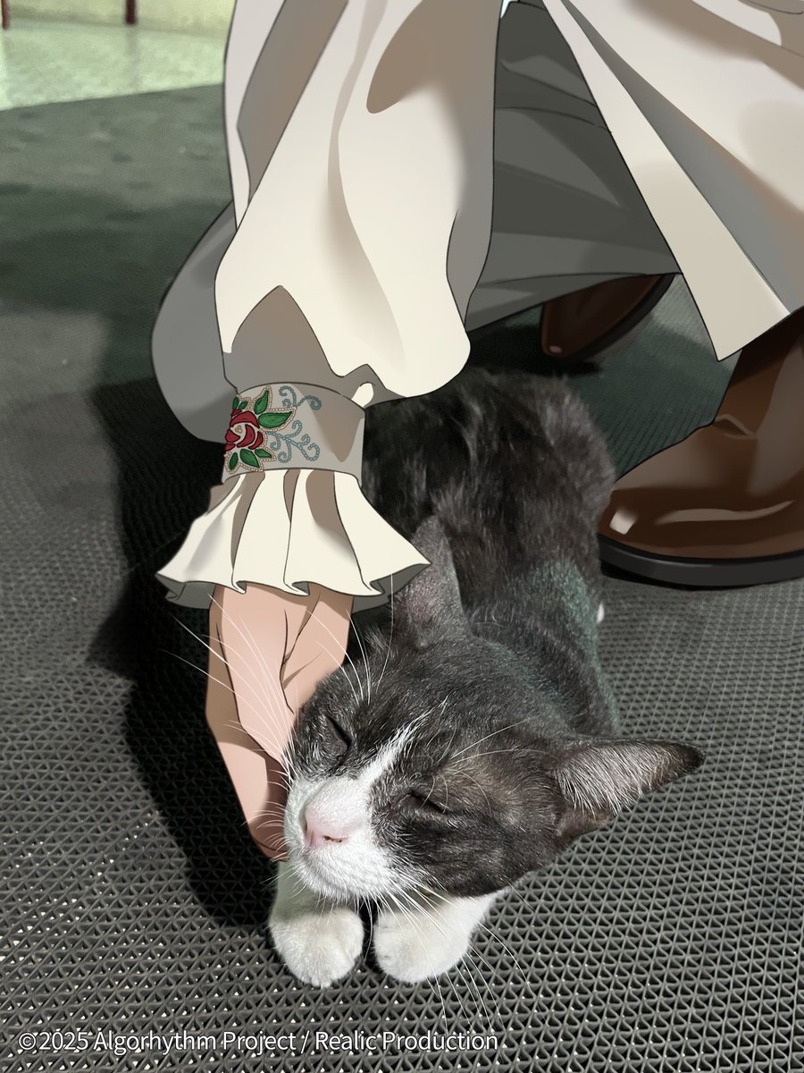 Kafbo | Bangkok, image size:900x1200