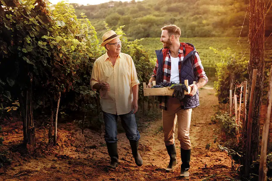 DESANGOSSE's tweet photo. 🍇#MardiBiocontrôle
Contre les cicadelles, les solutions à base de pyréthrines sont efficaces... mais agissent brièvement.
🛡️ En associant un adjuvant d’origine végétale, on améliore leur pénétration ET on ralentit leur dégradation.
#Viticulture #Biocontrôle
https://t.co/25E4GlSx7R
