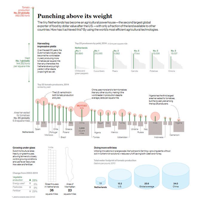 Fun fact.

The Netherlands is a leader when it comes to food production due to innovations in agricultural techniques which improve efficiency.

Growing a kilogram of tomatoes in the Netherlands requires 9.1 liters of water. The global average is over 210 liters of water per kg.