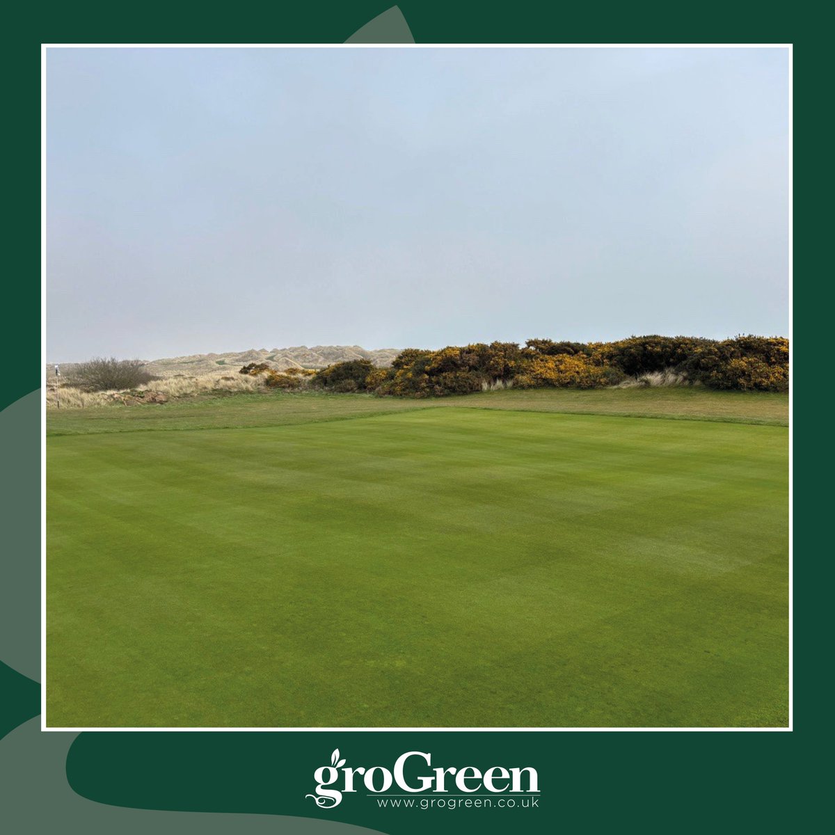 Our groGreen trial site is looking fantastic after the first applications and a cut! ✅ Great results so far - keep an eye out for more updates.

#groGreenTrial #SupplyingResearchedSolutions