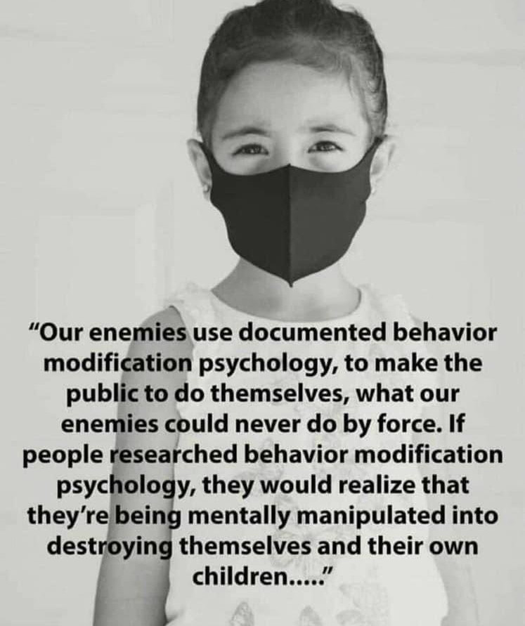 redpillb0t's tweet image. 