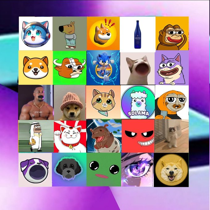 playmemeadv's tweet photo. Name one $SOL memecoin that will #100x https://t.co/1fddm58kOr