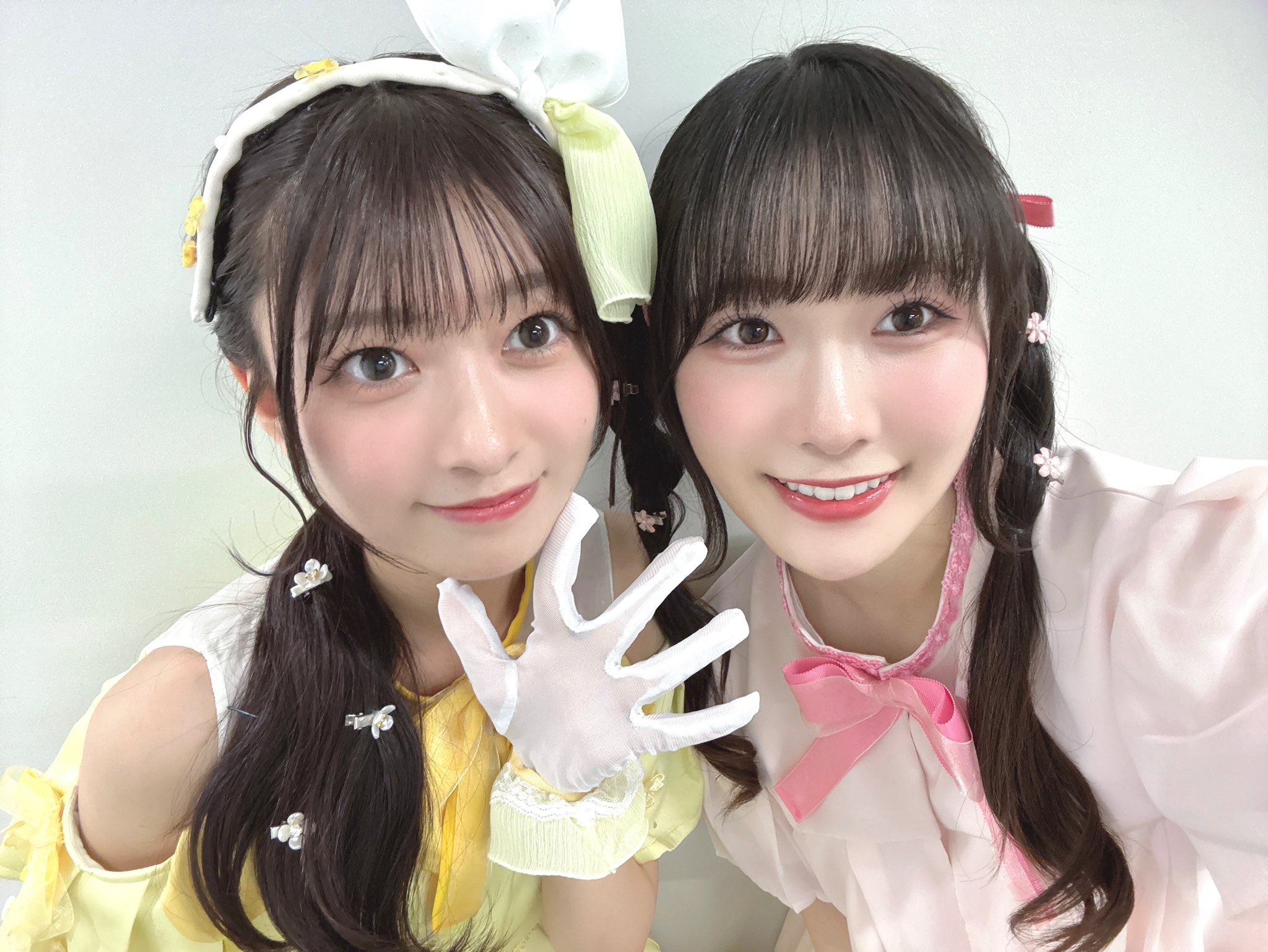 坂倉 花(さかくら さくら) on X: 