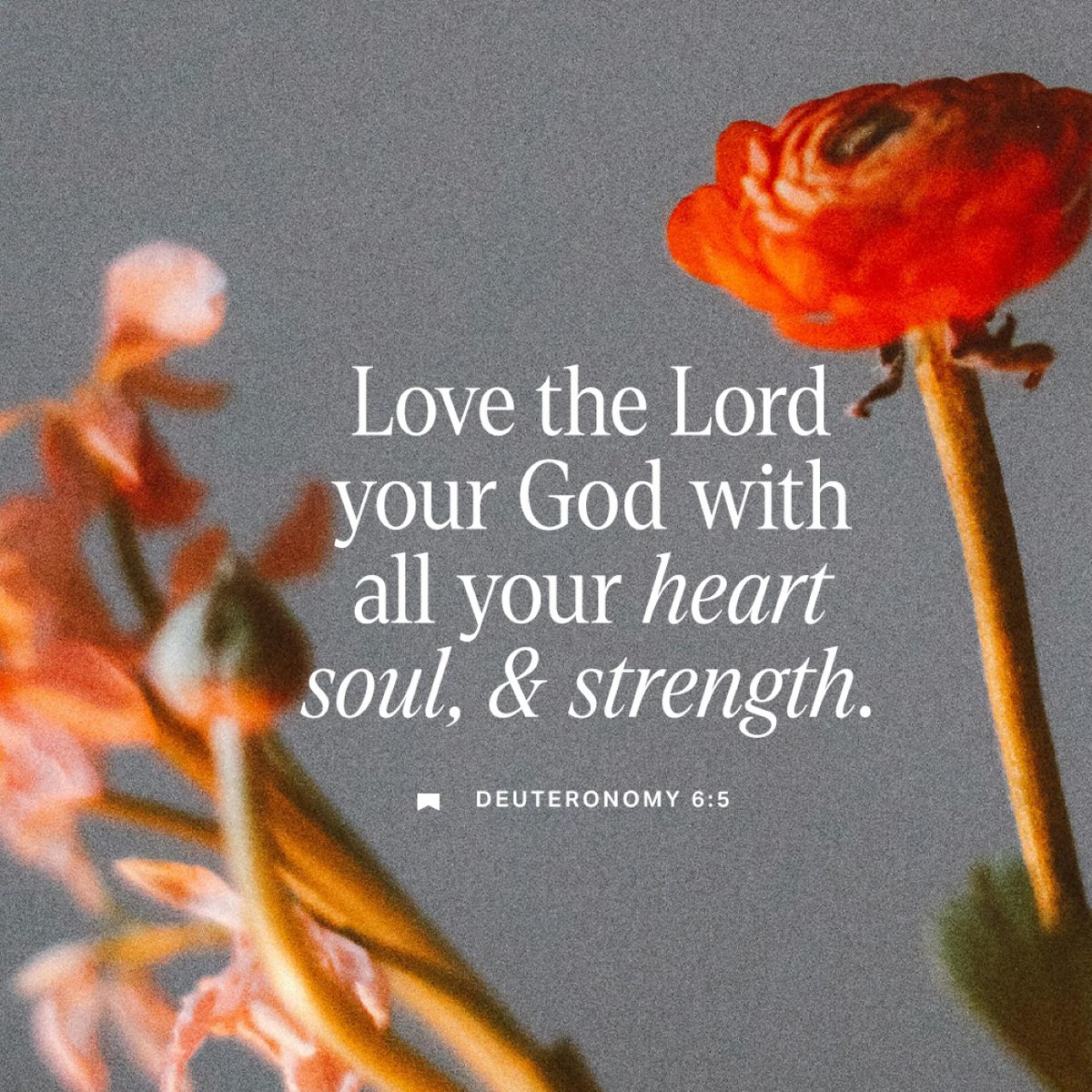YouVersion's tweet image. Deuteronomy 6:5