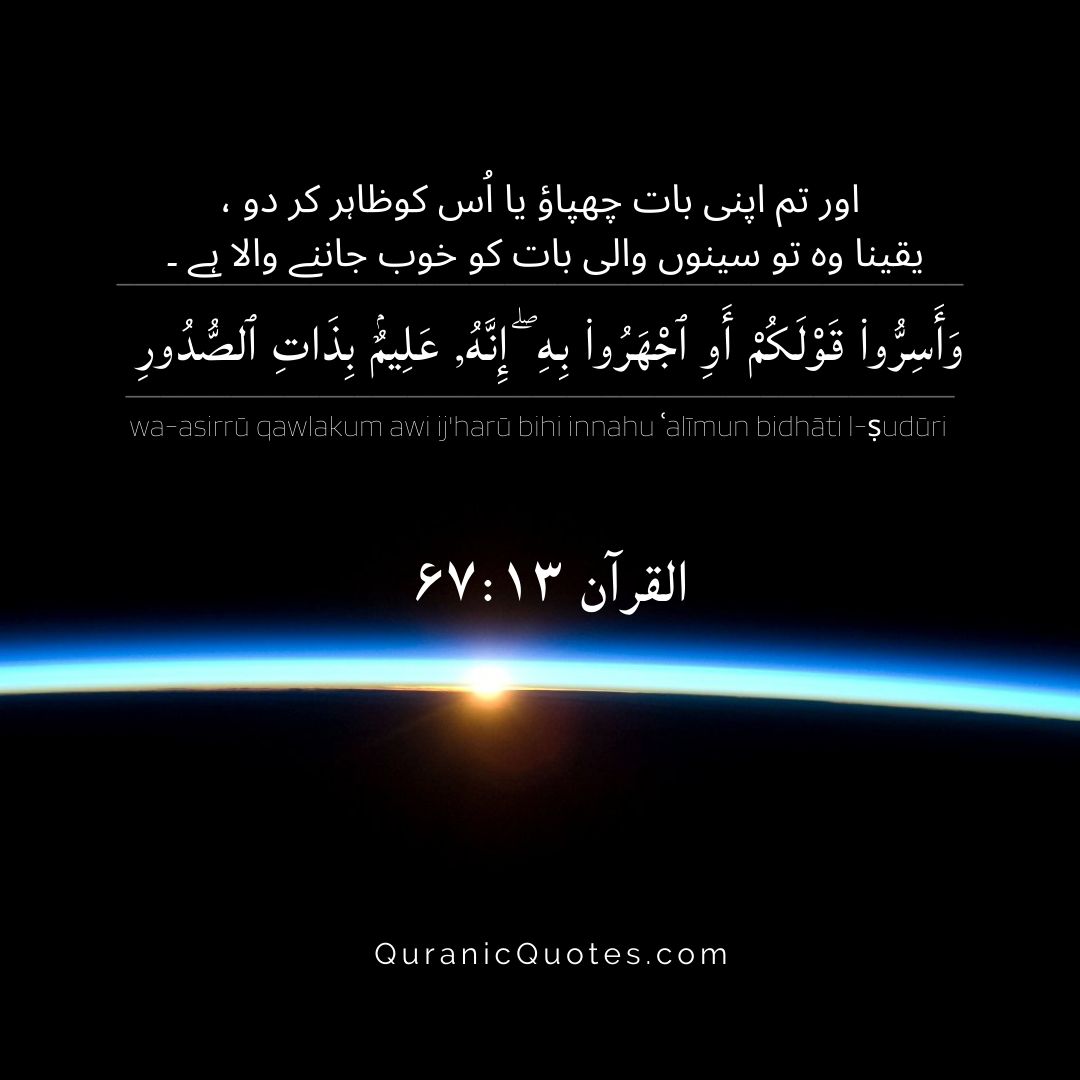 Surah Al-Mulk – Ayah 13
"And whether you keep your words secret or declare them—indeed, He is Knowing of that within the breasts." (Surah Al-Mulk 67:13)
