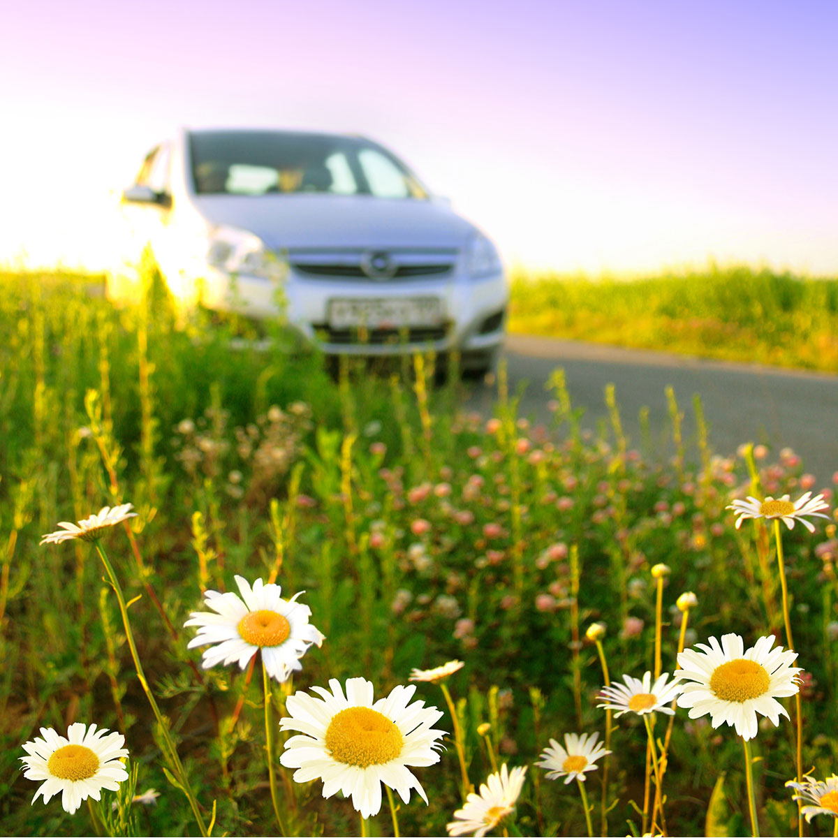 With the milder weather approaching, and longer days, it’s the ideal time to get outside in the fresh spring air to conduct some basic checks on your vehicle, as well as a bit of a spring clean. 🌷