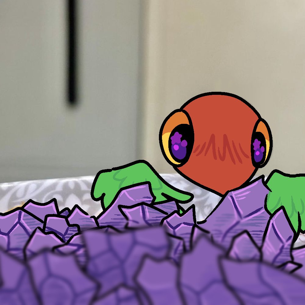 Average bird day 💥💥