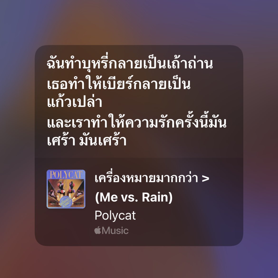 NAPOLYCAT tweet media