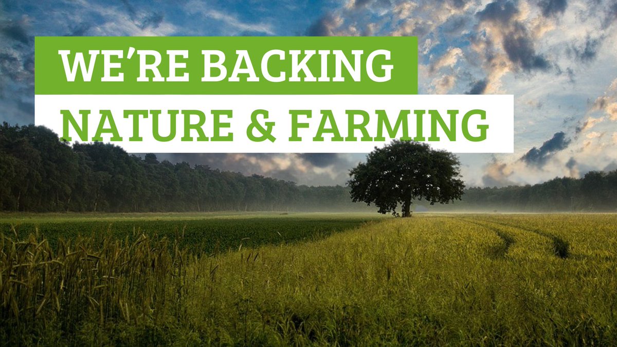 Brits are firmly behind more support for nature-friendly farming, with just 13% saying Government was right to suspend Sustainable Farming Incentive🧑‍🌾

Government must increase this funding to support rural communities, rivers, food security &amp; nature🌱

wcl.org.uk/farming-and-na…