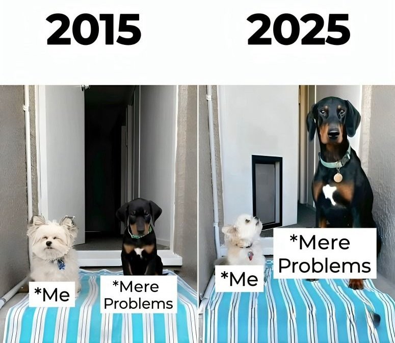 Pratapsing890's tweet image. बस समस्या बढ़ी हो रही है।
#bbmzansi
#Operation_Searchlight