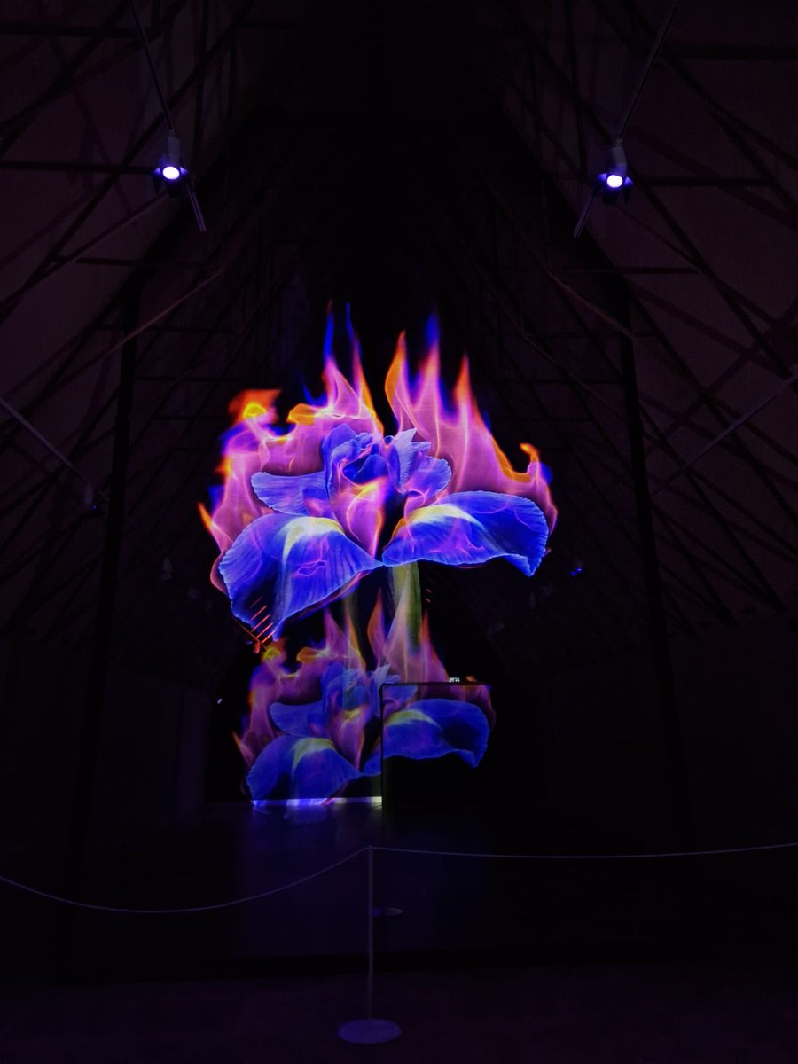 Last week we the team enjoyed a Wellbeing Day. 
We visited the different attractions at the Auckland Project including the Faith Museum and Auckland Castle. We were very lucky with the weather too!
Remember to take some time for yourself and enjoy the spring sun when you can!