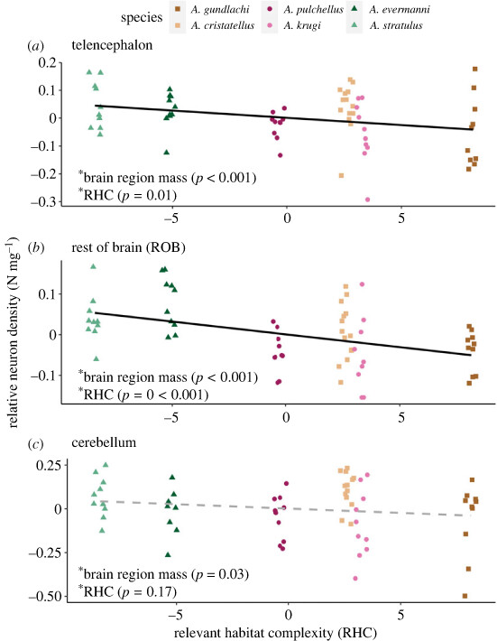 RSocPublishing's tweet photo. Habitat complexity influences neuron number in six species of Puerto Rican Anolis https://t.co/semzrC2g3u
#anolis #neuroscience #animalbehaviour #BiologyLetters https://t.co/IRTlvVmyEH