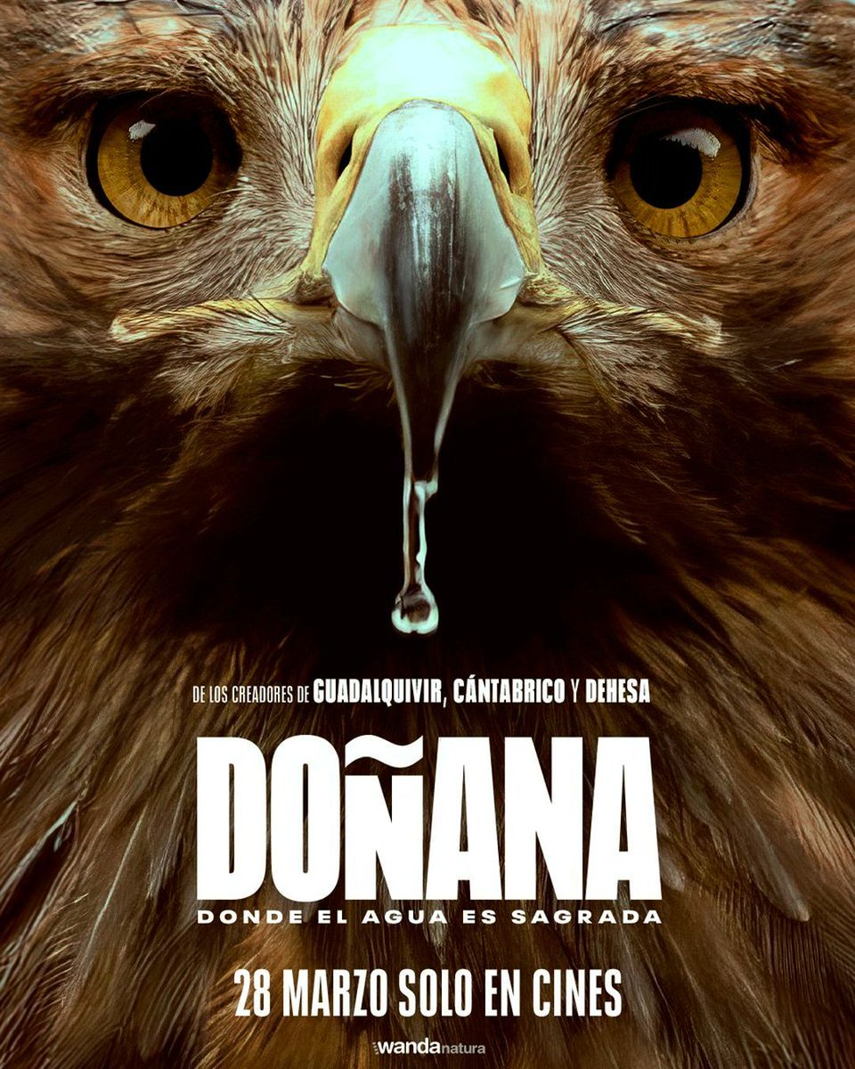 DOÑANA llega a los cines el 28 de marzo. Un viaje por la fauna, cultura y los desafíos medioambientales de este enclave único. Desde Creast, hemos colaborado en la medición de este proyecto, apoyando un cine que pone en valor la conservación de nuestro entorno. ♻️🌍 <a href="/wandafilms/">Wanda Vision</a>