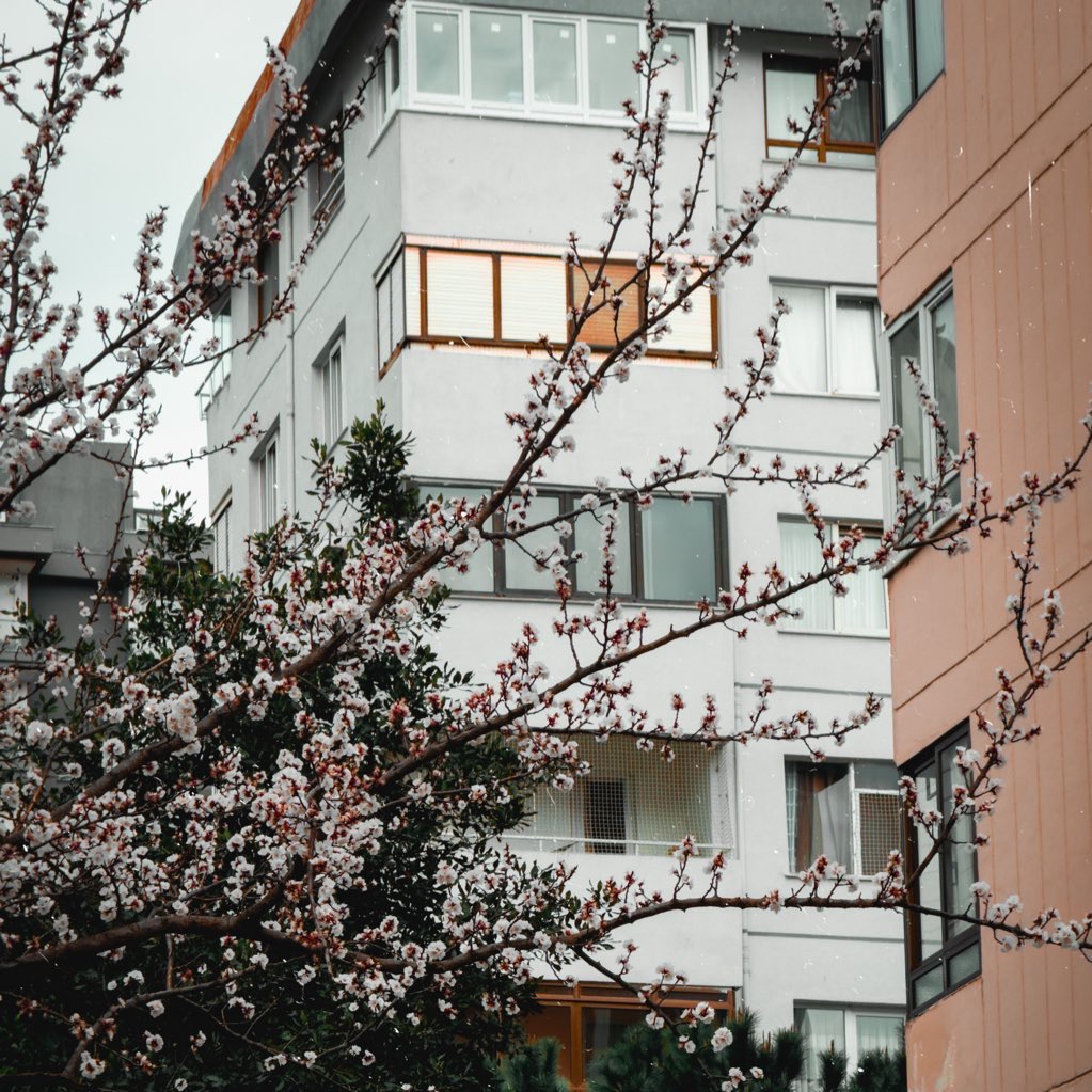 Bahar geliyor, hiçbir kış sonsuza kadar sürmüyor.