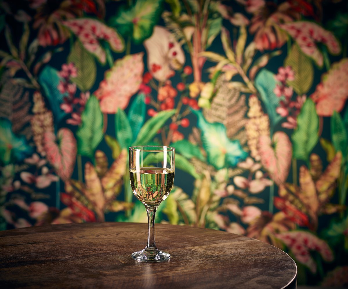 Genware1's tweet image. The Tokyo Wine Glass blends style and functionality, making it an ideal choice for hotels, bars, and restaurants.  #GenWare

Explore Here: obi41.nl/2p8eej6t

#wineglasses #wineglass #wine #glassware #tableware #glass #homedecor #kitchenware #dinnerware