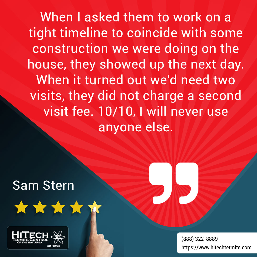 Hitech_Termite's tweet photo. Hi Tech is the best! Free, thorough inspection &amp; fast service. Honest, reliable &amp; no extra fees. 10/10, I won’t use anyone else! – Sam Stern

#Terminator #HomeProtection #PestControlLife #TermiteTreatment #CustomerReviews  #RealOpinions #ReviewSpotlight #Testimonials https://t.co/OoyR98r4M7