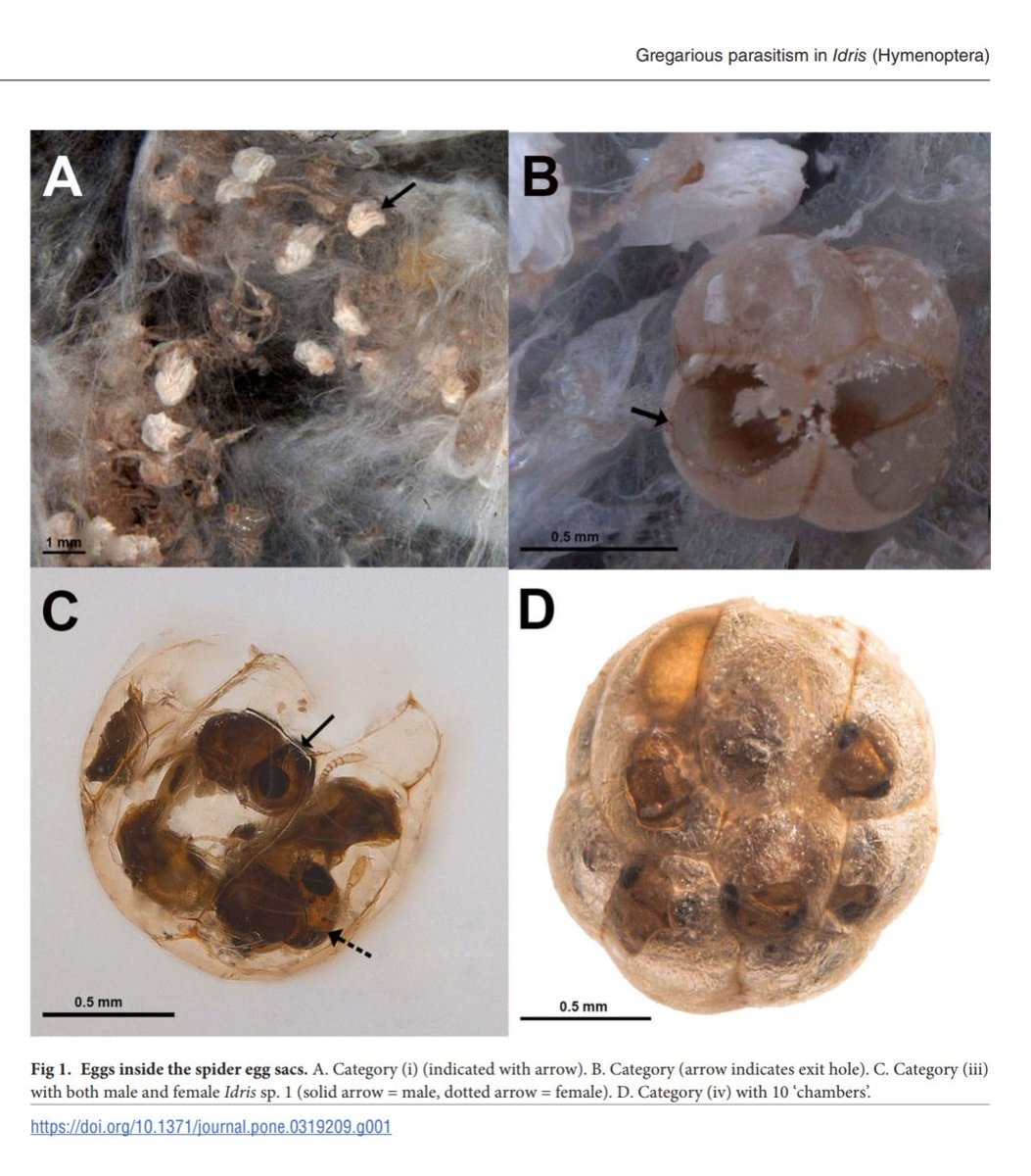 Rupam Debnath tweet media