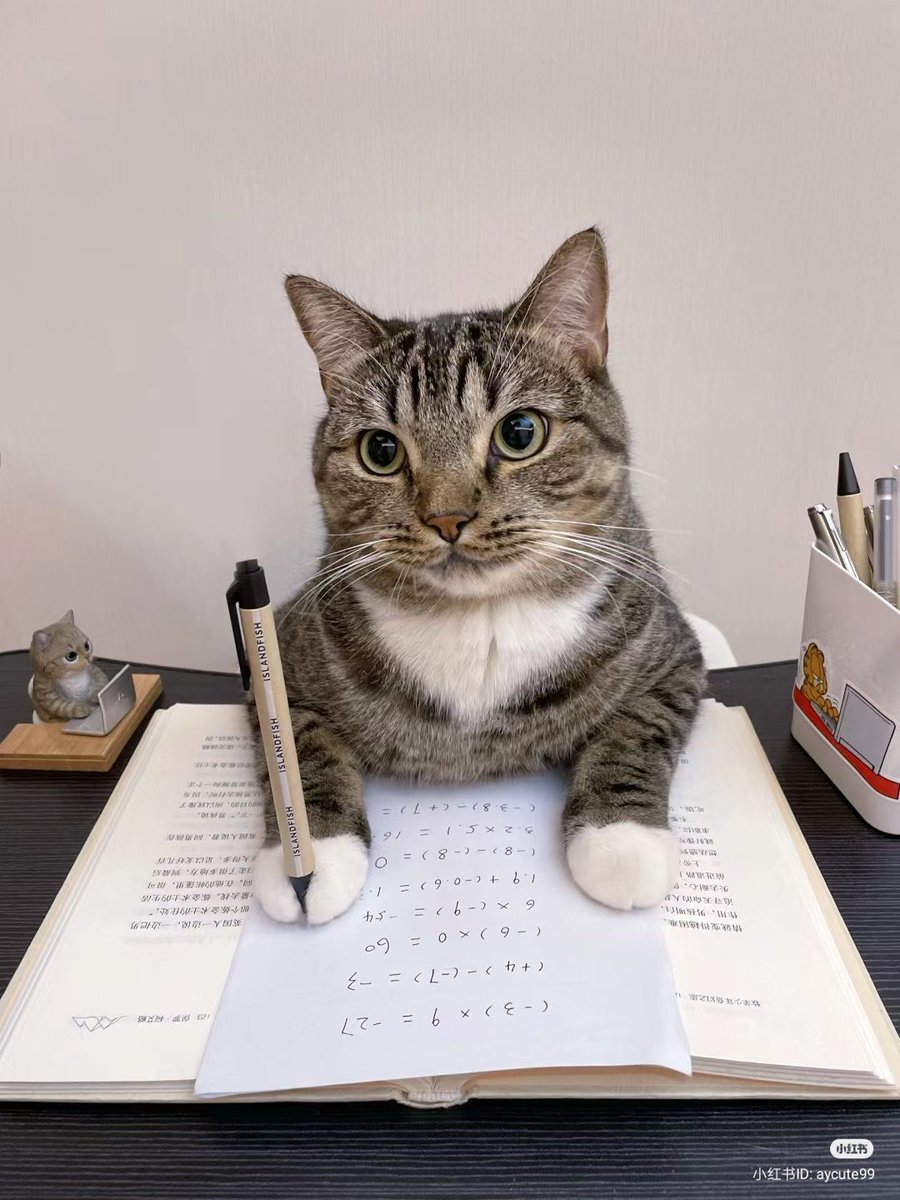 CatWorkers's tweet photo. Study cat. https://t.co/ffmD5gV5NA