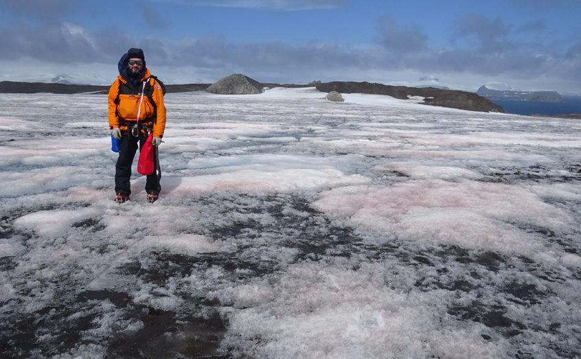 Scottish Association for Marine Science (@samsoceannews) on Twitter photo Antarctic scientists have unveiled communities largely made up of photosynthetic algae, which have been shown to add to melting of the ice caps in the region.
👉sams.ac.uk/news/sams-news…
<a href="/scienceisnotfun/">Dr Matt Davey</a> <a href="/BAS_News/">British Antarctic Survey 🐧</a> <a href="/GeosciencesEd/">School of GeoSciences @ University of Edinburgh</a> @PlantSci @ccap_oban @ninanature <a href="/NERCscience/">Natural Environment Research Council</a> Antarctic scientists have unveiled communities largely made up of photosynthetic algae, which have been shown to add to melting of the ice caps in the region.
👉sams.ac.uk/news/sams-news…
<a href="/scienceisnotfun/">Dr Matt Davey</a> <a href="/BAS_News/">British Antarctic Survey 🐧</a> <a href="/GeosciencesEd/">School of GeoSciences @ University of Edinburgh</a> @PlantSci @ccap_oban @ninanature <a href="/NERCscience/">Natural Environment Research Council</a>