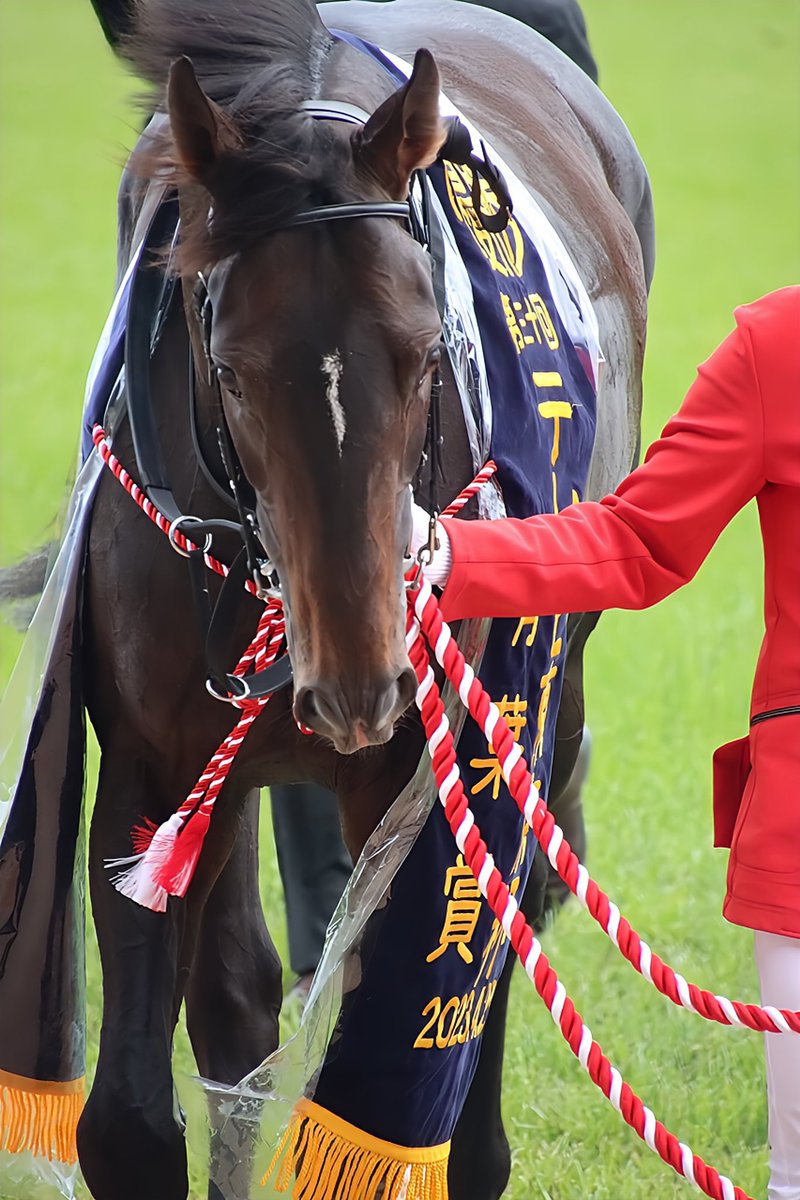 スキルヴィング