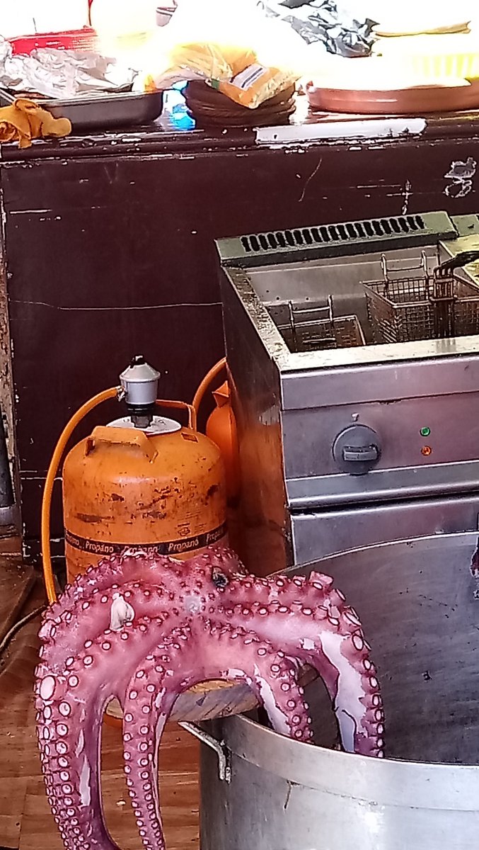 HorecaRestauran's tweet photo. #Hostelero!
🤮Recuerdas el #lacon y el #pulpo del #mercadomedieval?
Pues AHORA VUELVE
@MarisGalicia un evento SUBVENCIONADO POR @Xunta que consiste en montar un restaurante para 1500 personas en una Carpa d @puertovenecia
durante 3 semanas
NO es promoción ES COMPETENCIA DESLEAL https://t.co/hkmfcarbSs