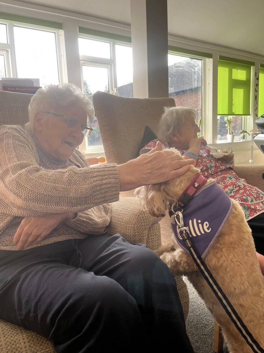 Our four legged friends have many health-giving benefits including relieving stress, lifting moods, even prompting precious memories of past pets. Adorable therapy dog Callie and owner Amie from Canine Concern brought much happiness when they visited Brendoncare Froxfield.