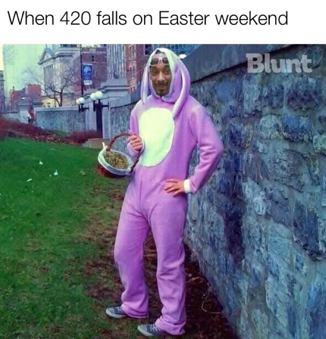 Stoner Barbie (@stonersvilla) on Twitter photo 
