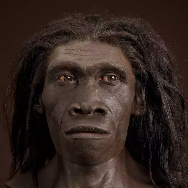 TigerPax's tweet image. Y&apos;all white people are direct descendants from this. Not from some made-up old fart who by miracle made you 6,000 years ago.
#evolutionrules