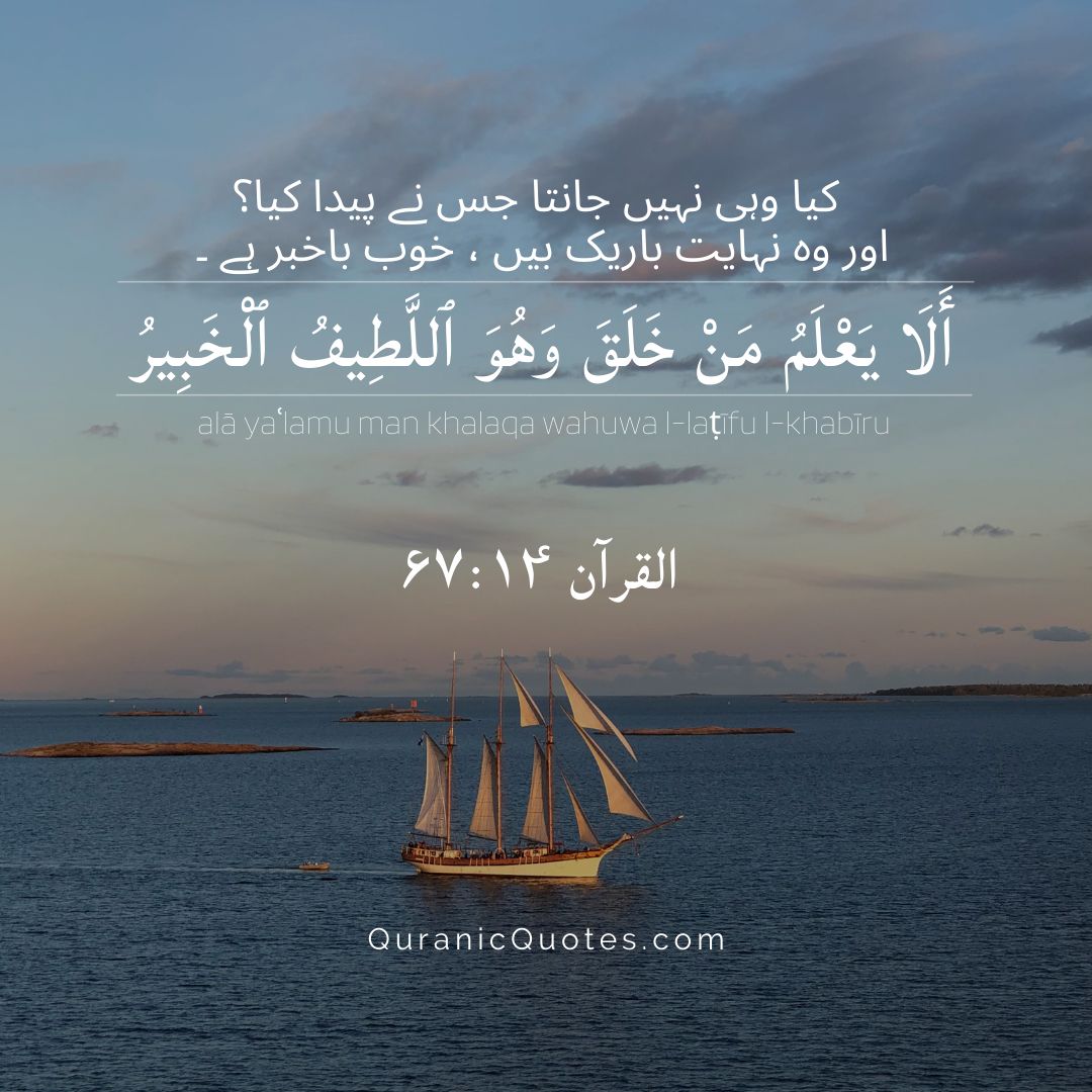 Surah Al-Mulk – Ayah 14
"Does He who created not know, while He is the Subtle, the Acquainted?" (Surah Al-Mulk 67:14)