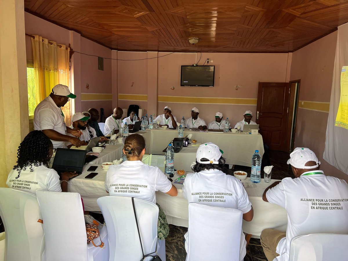 ALLIANCE GSAC tweet media