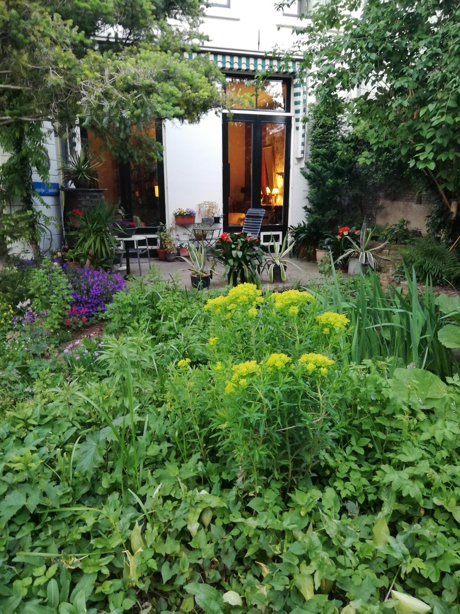 📍Oudegracht 17 🌿

De beroemdste bewoonster van dit 15e-eeuwse pand was Trijn van Leemput, hopmansvrouw en aanvoerster van een Utrechtse vrouwengroep. In de huidige ecologische tuin achter het grachtenpand vind je een verscheidenheid aan planten, vogels, insecten en vlinders 🦋