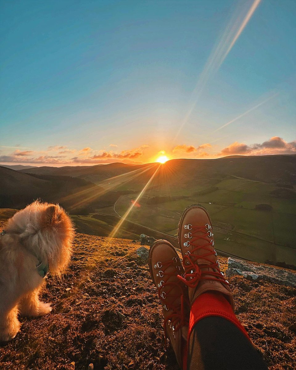 Enjoy the sunrise with your sidekick in the South of Scotland 🐶
📌Peebles, Scottish Borders
📷the.wee.scottish.explorers
#Scotland