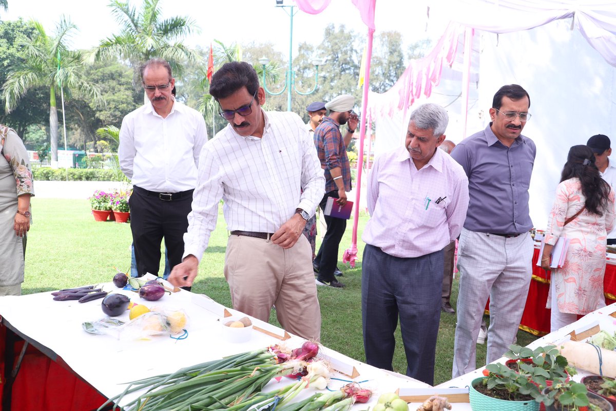 RCFWWO team lead by it's President Smt. Madumita Mishra and Sh. S S Mishra, GM RCF  &amp; Sr . Officers appreciating the  homegrown vegetables at Flower and Lawn Competition in  RCF Kapurthala.