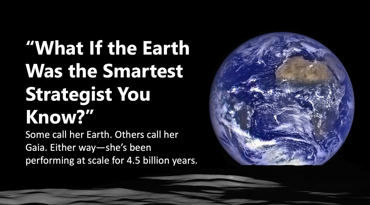 JuliaLeckey1's tweet photo. “What If the EARTH Was the Smartest Strategist You Know?
 Subscribe on my linked in page JULIA LECKEY

#ThinkPlanDo #GaiaThinking #Leadership #Strategy #SlowGrowth #SystemsWisdom #Newsletter #SpiritualEntrepreneur #ConsciousLeadership https://t.co/FTRIt6vWMI