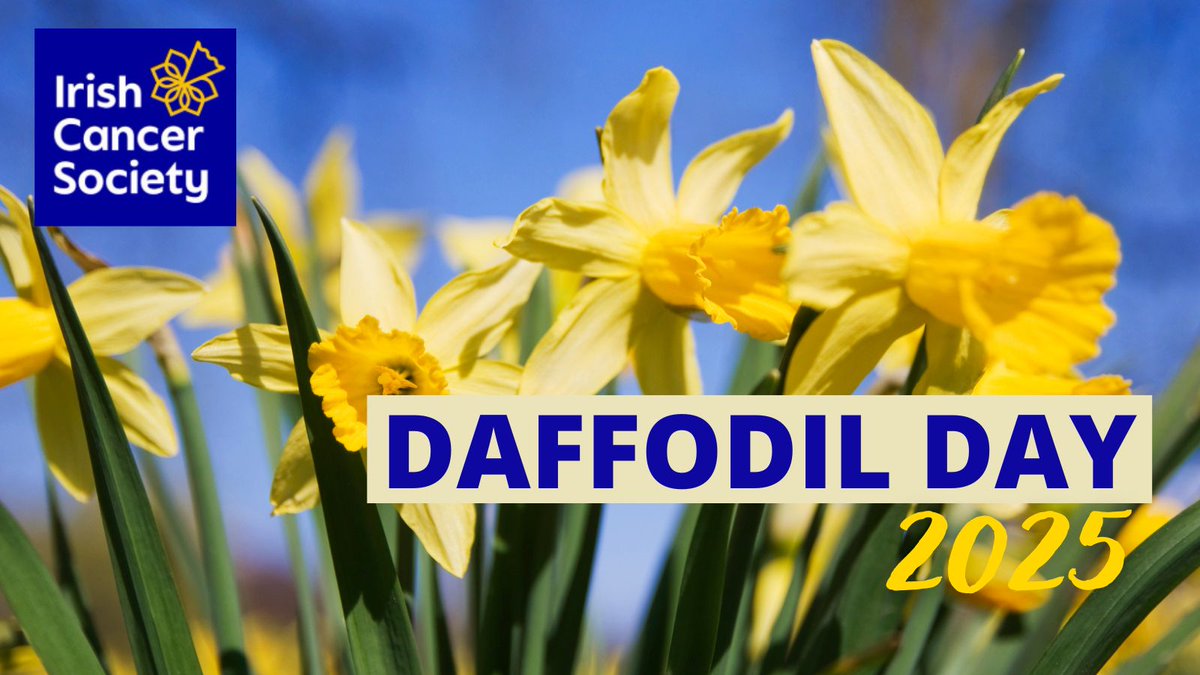 Priscilla Lynch (@priscilla1lynch) on Twitter photo 🗓️🌼Go All In Against Cancer this Daffodil Day 🗓️ Please support & give what you can ♥️today is a day we can all make a difference for families affected by cancer.
<a href="/IrishCancerSoc/">Irish Cancer Society</a> cancer.ie
#DaffodilDay
#DaffodilDay2025 🗓️🌼Go All In Against Cancer this Daffodil Day 🗓️ Please support & give what you can ♥️today is a day we can all make a difference for families affected by cancer.
<a href="/IrishCancerSoc/">Irish Cancer Society</a> cancer.ie
#DaffodilDay
#DaffodilDay2025