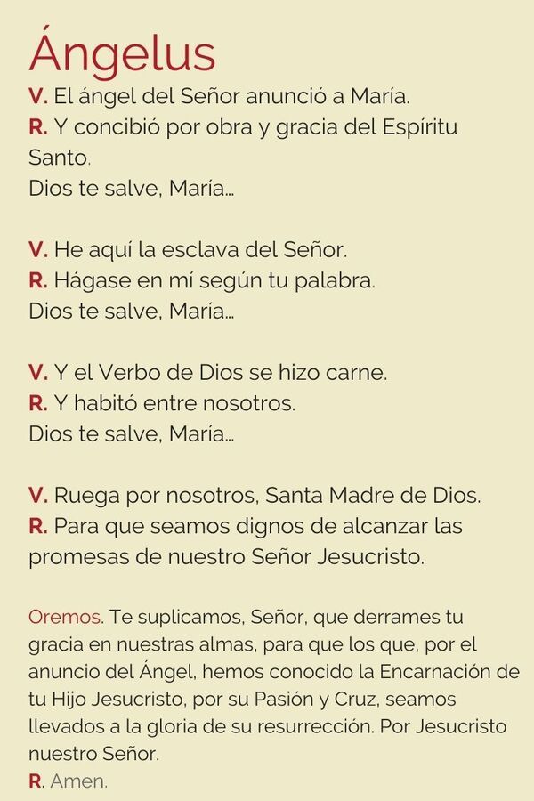 La fiesta de la Anunciación que celebremos hoy es una ocasión para rezar de manera muy especial el Ángelus, la oración en la que el Arcángel San Gabriel le anuncia a María que va a ser la Madre de Dios 🕊️😇🙏🏻