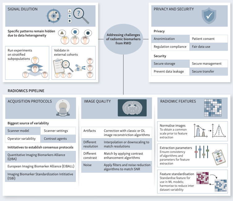 Radiomics Group (@radiomicsvhio) on Twitter photo 📰Check out our new publication!📰
🩻🏥Real-world radiology data for artificial intelligence-driven cancer support systems and biomarker development
🇪🇺🤝A collaboration accross institutions of the <a href="/CancerCoreEU/">Cancer Core Europe</a> Imaging TF
by <a href="/DaniSanful/">Daniel Navarro.</a> and Adrià Marcos
doi.org/10.1016/j.esmo… 📰Check out our new publication!📰
🩻🏥Real-world radiology data for artificial intelligence-driven cancer support systems and biomarker development
🇪🇺🤝A collaboration accross institutions of the <a href="/CancerCoreEU/">Cancer Core Europe</a> Imaging TF
by <a href="/DaniSanful/">Daniel Navarro.</a> and Adrià Marcos
doi.org/10.1016/j.esmo…