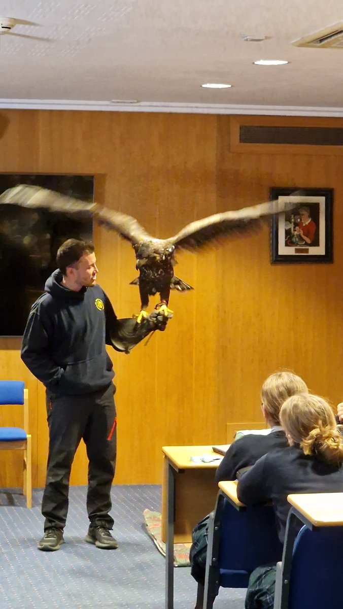 SG_STEM's tweet image. Our L5 students had a great time at the Birds of Prey show with Liberty's Owl, Raptor and Reptile Centre in Ringwood! We met some incredible birds and learned all about them:
•Little Owl 🦉
•Peregrine Falcon 
•Kestrel 
•Tawny Owl 
•White-Tailed Sea Eagle 🦅
#BirdsOfPrey
