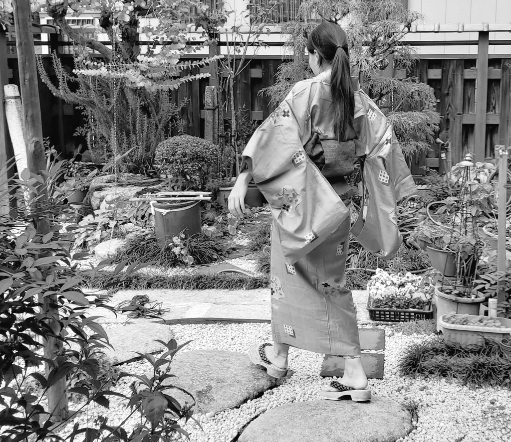 墨色着物シリーズ
木綿の着物、今年もいっぱい着ます
そして銘仙と正絹も恐れずに着こなしたい 