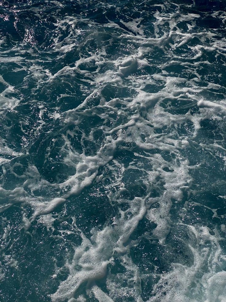 𝕰𝖑𝖊𝖒𝖒𝖎𝖗𝖊 tweet media