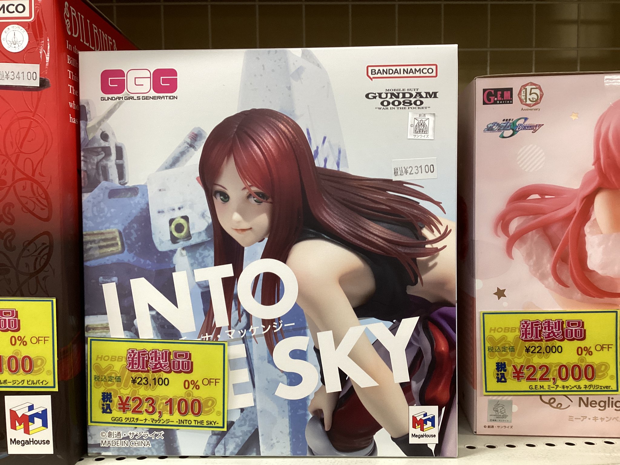 クリスチーナ・マッケンジー INTO THE SKY GGG クリスチーナ・マッケンジー -INTO THE SKY-』が予約開始