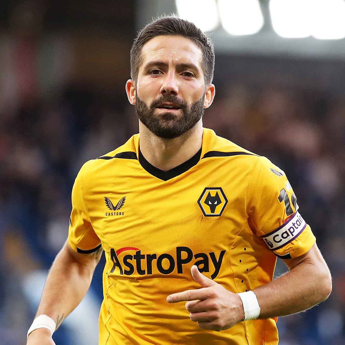 🐺 WeAreWolves 🐺 tweet media