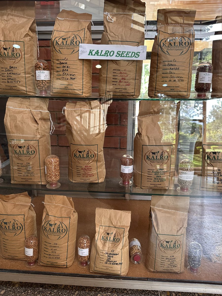 What a productive meeting at KALRO exploring collaboration opportunities in forage-livestock systems. 

#forage #beef