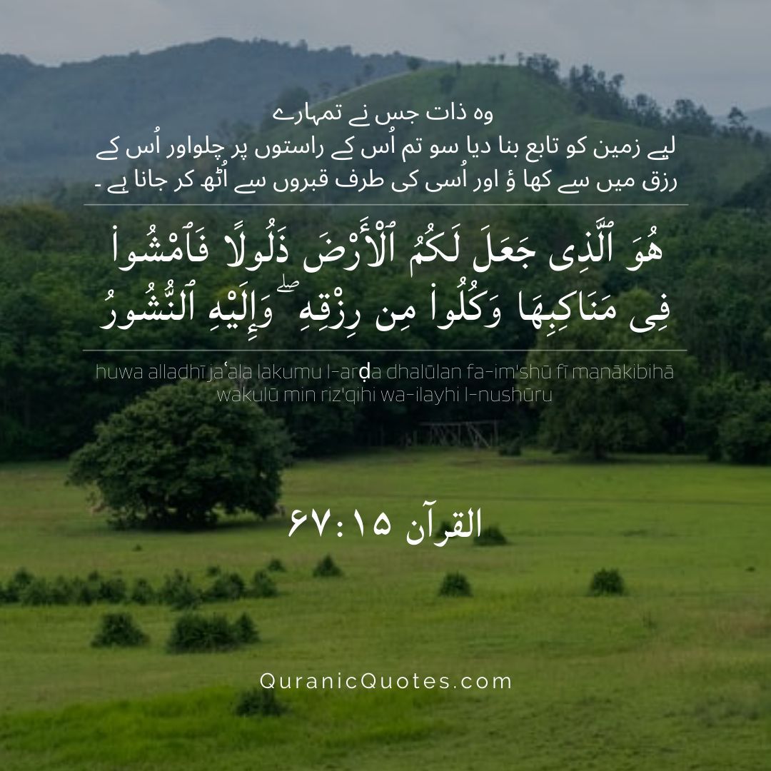 Surah Al-Mulk – Ayah 15
"It is He who made the earth tame for you—so walk among its slopes and eat of His provision—and to Him is the resurrection." (Surah Al-Mulk 67:15)