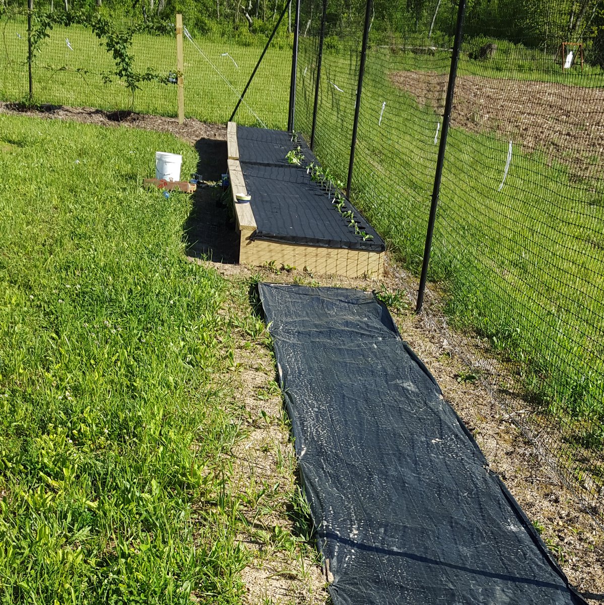 Who else is getting their soil ready and garden planted? 

#shtf #shtfready #offgrid #offgridliving #survival #survivalist #preparedness #prepperlife #prepper #preppertalk #edc #gardening