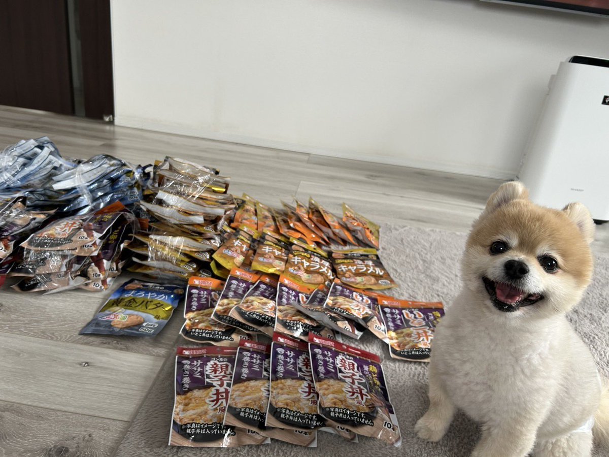 goe0606's tweet photo. ［これ全部僕のおやつなんだ🎵］と自慢しているごえ

飼い主の掴み取り戦利品 https://t.co/fstGIfCbke
