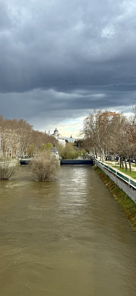 AlbertoMay0's tweet photo. Lleva un poquito de agua el Manzanares...No?

#MadridRio https://t.co/Bp9CVJiMVR